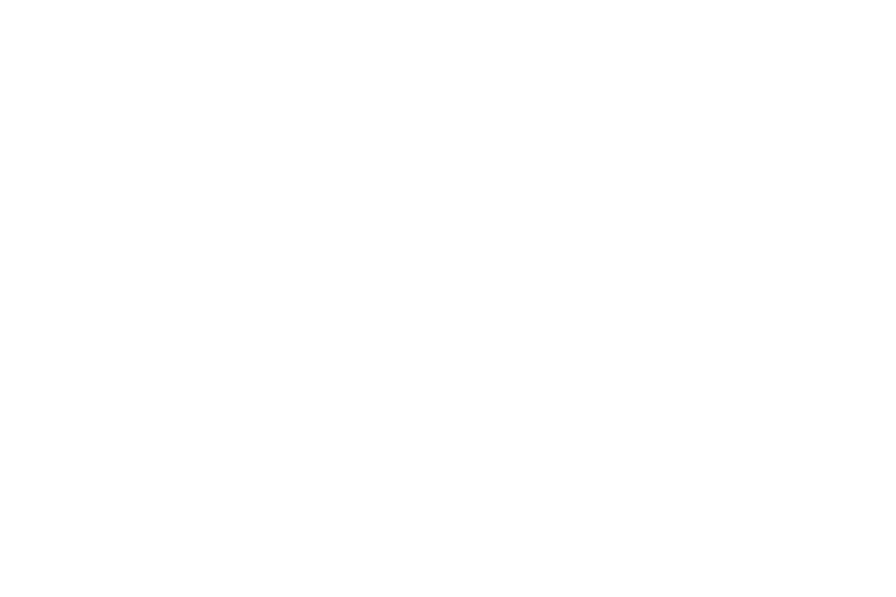 brinks_blanc