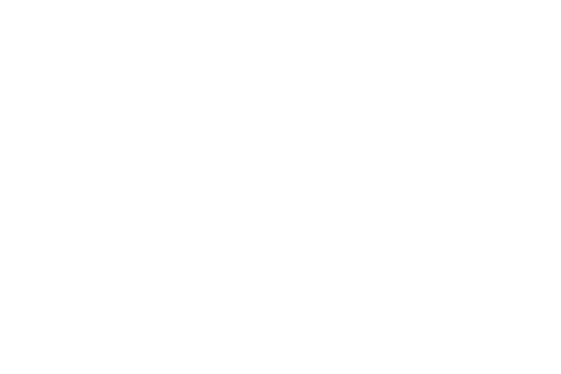 compagnie_des_alpes_blanc