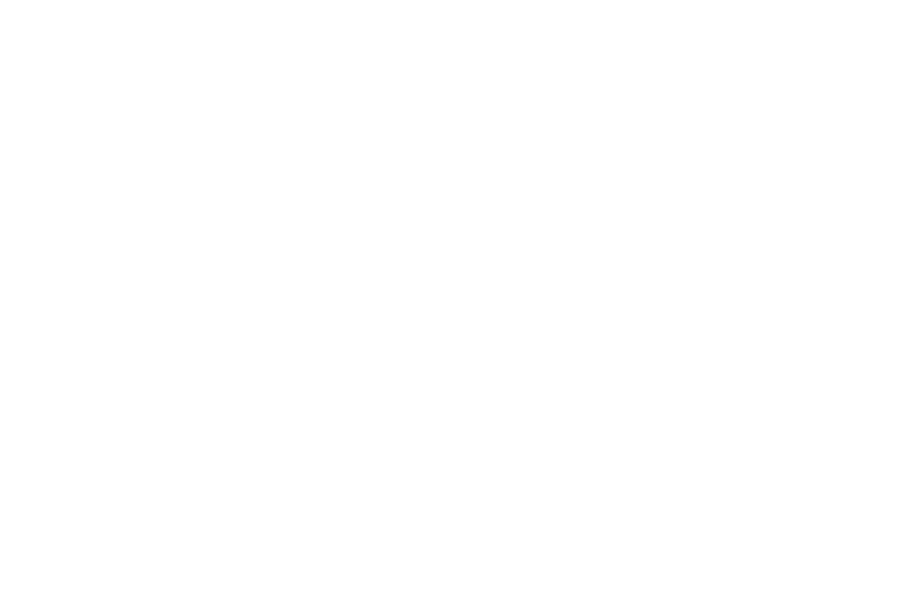 fondation_alzheimer_blanc