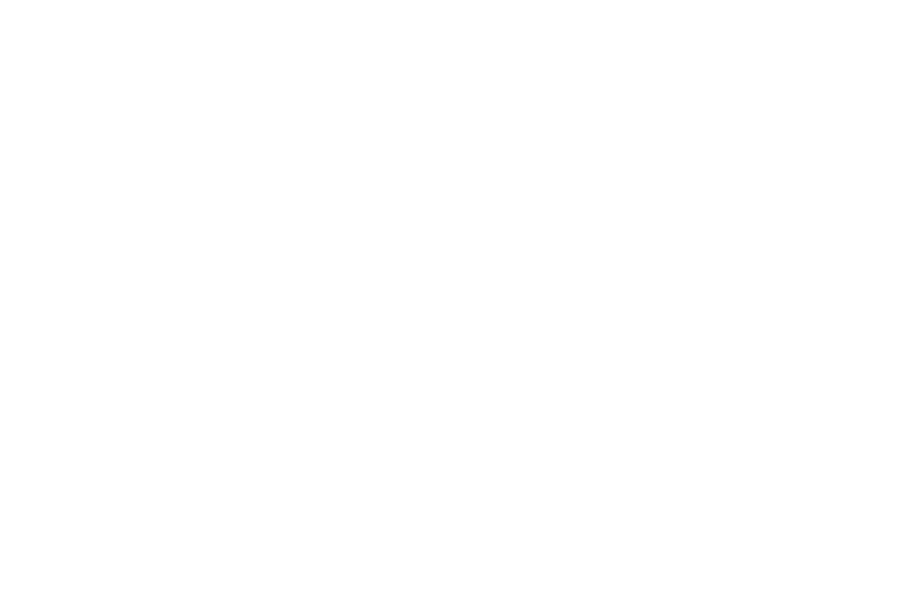 geopost_blanc