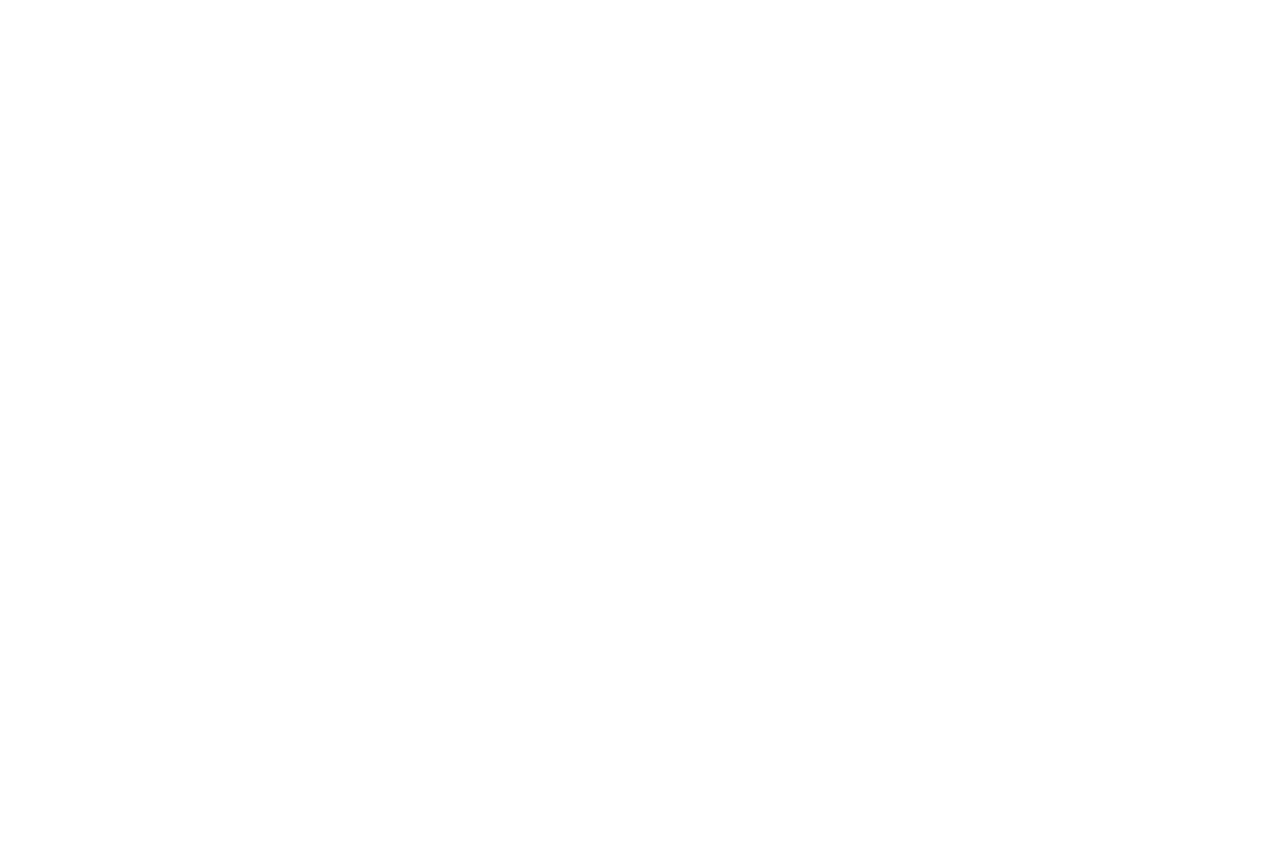 leroy_merlin_blanc