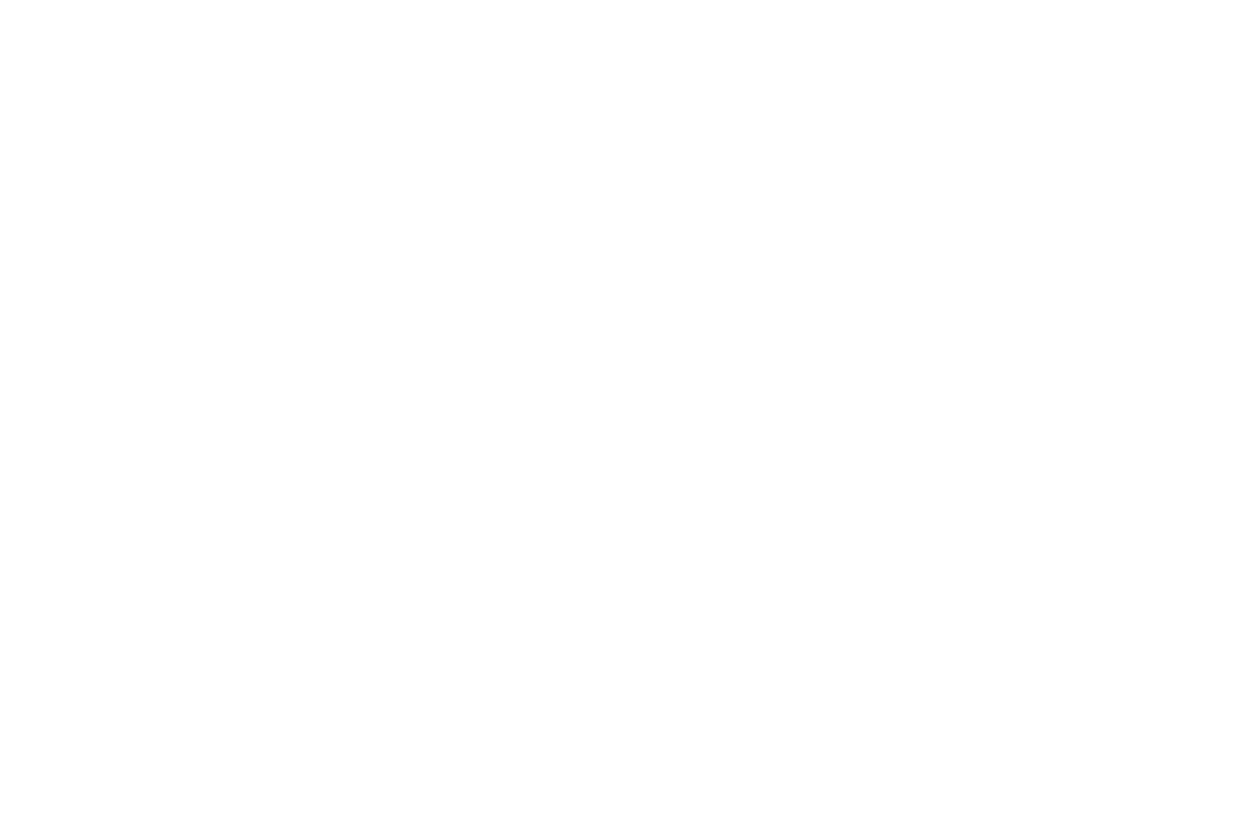 moet_hennessy_blanc