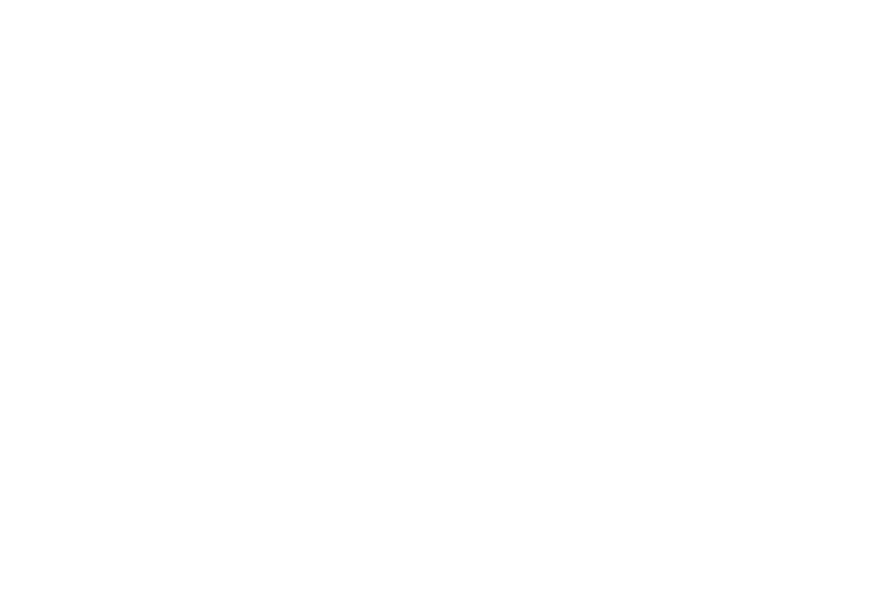 mr_bricolage_blanc