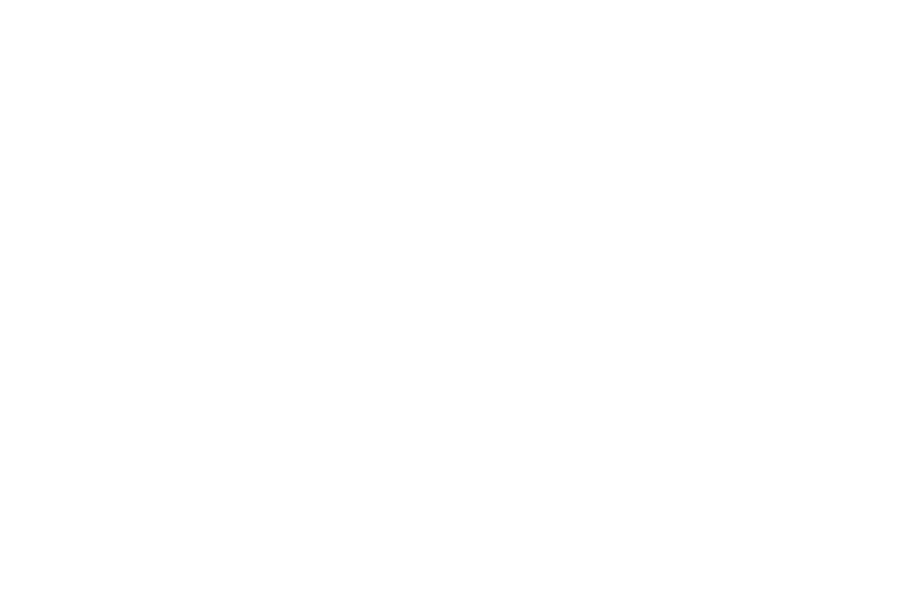 msd_sante_animale_blanc