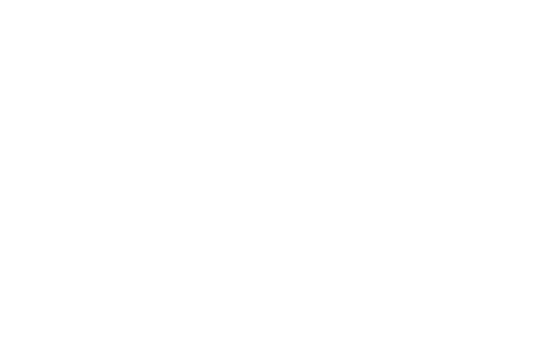 novae_blanc