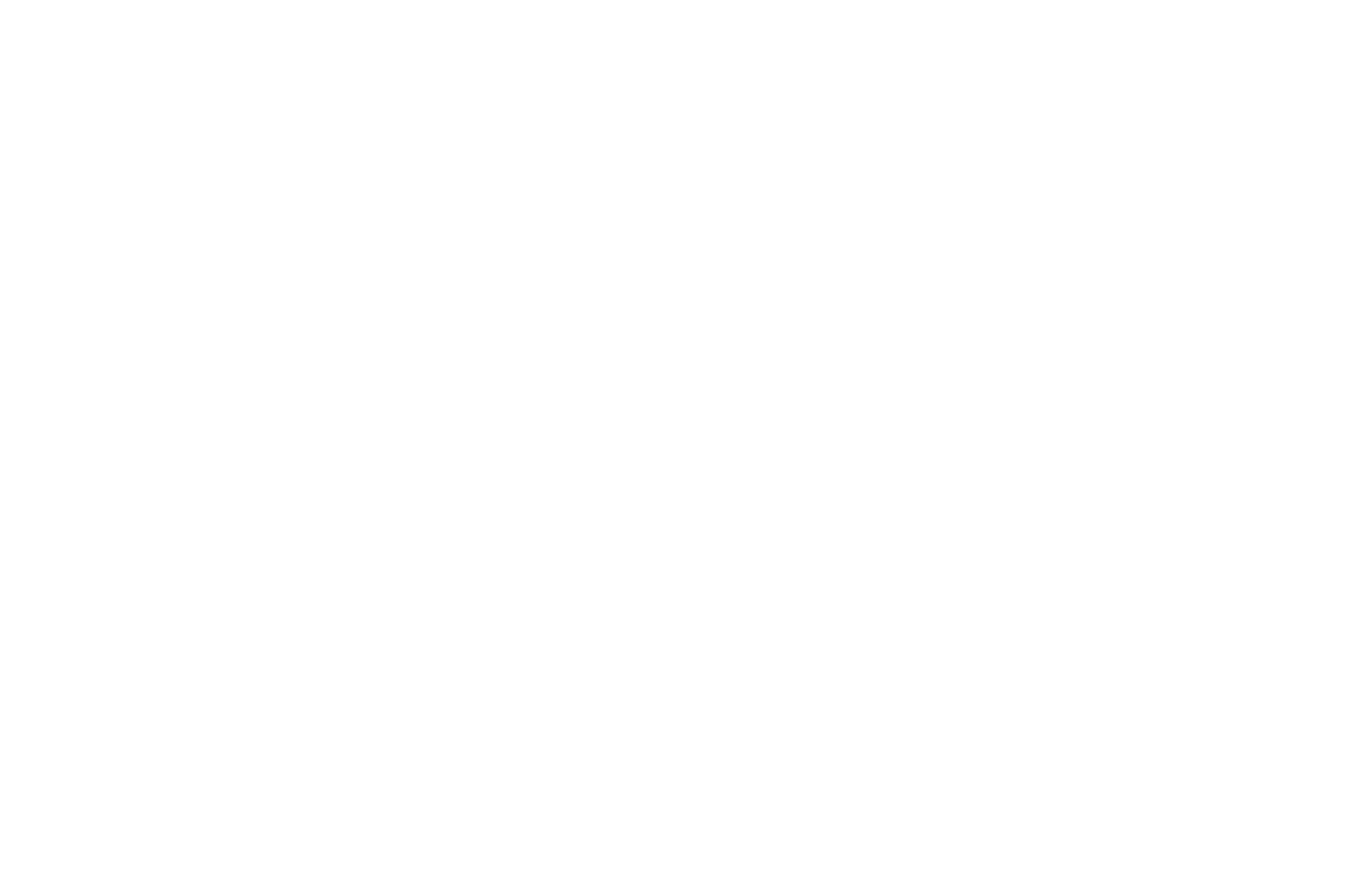 region_nouvelle_aquitaine_blanc